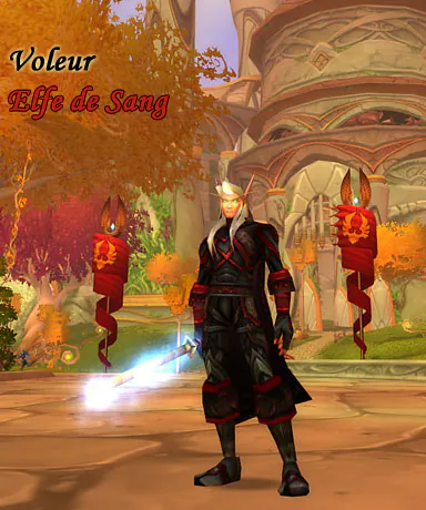 Voleur Elfe de Sang : elfe de sang en armure noire et rouge à Lune-d'Argent